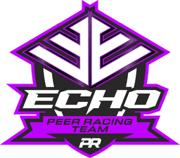 Echo division badge